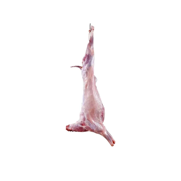 Full Mutton