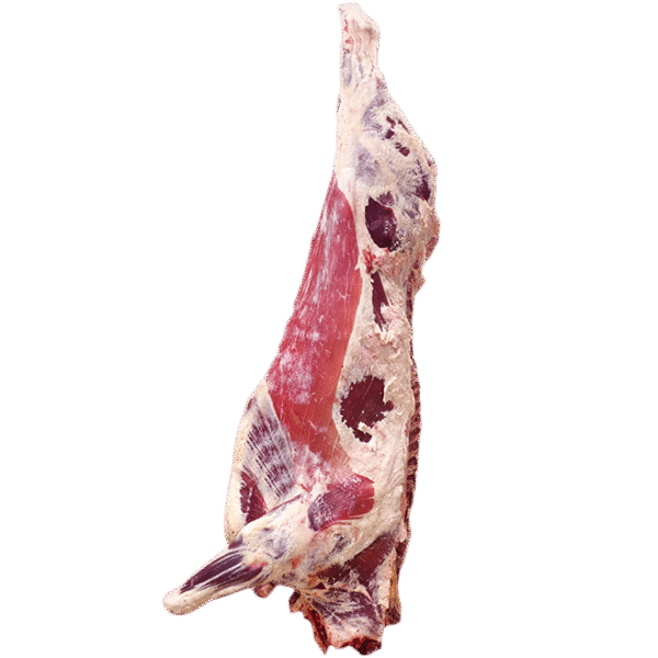 Full Beef
